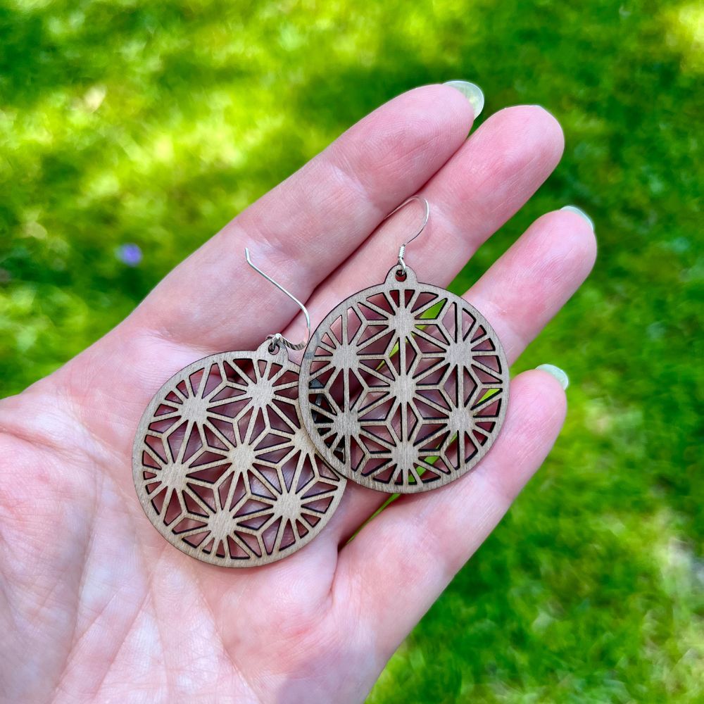Diamonds in Diamonds Geometric Round Sterling Silver Mahogany Earrings